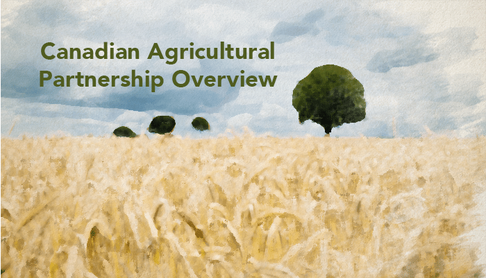 Canadian agricultural partnership overview