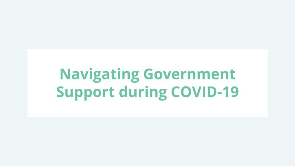 dmz webinar navigating government support