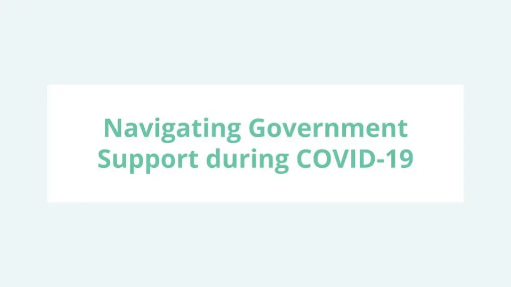 dmz webinar navigating government support