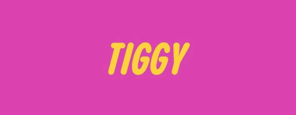 Tiggy logo