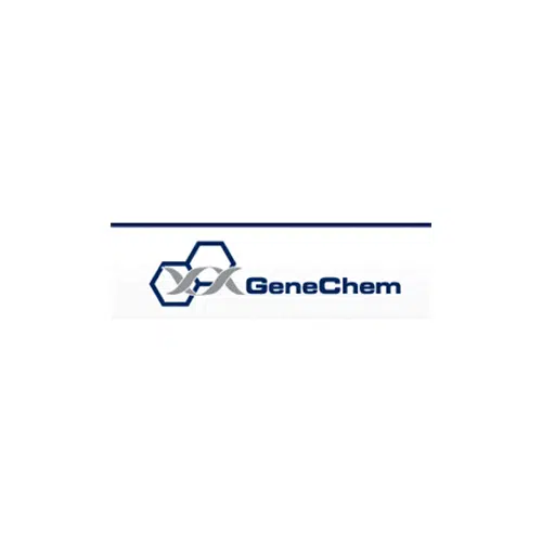 GeneChem Capital Partners logo