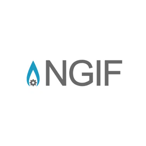 NGIF Capital Partner logo