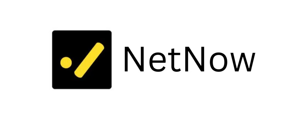 NetNow logo